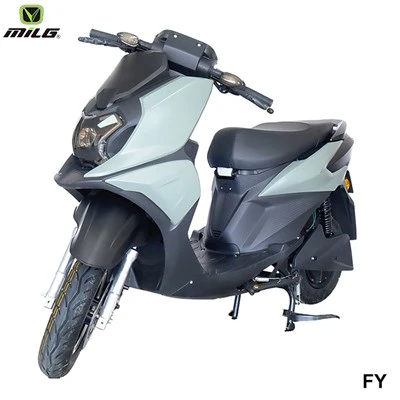 Pin xe máy chở hàng điện 2000w có thể tháo rời